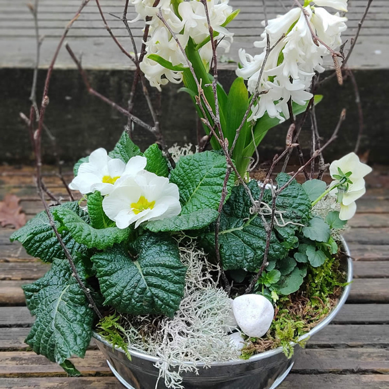 Jardin de plantes25 €